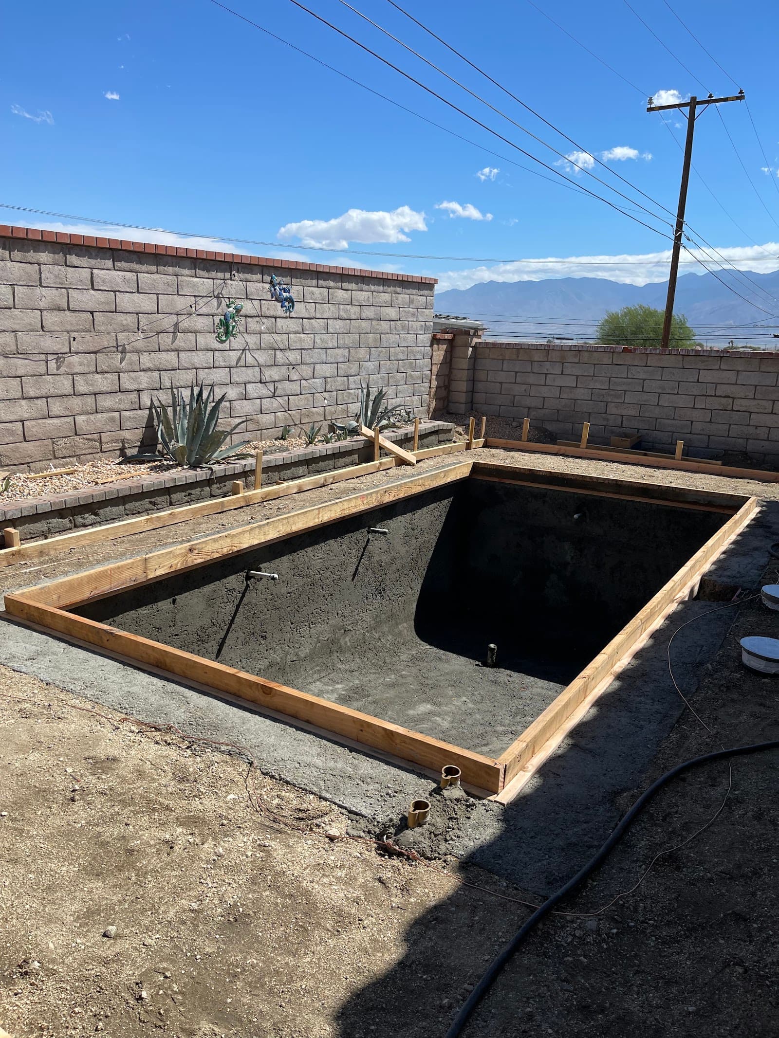 Weekly Pool Cleaning photo 3